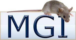 Logo MGI